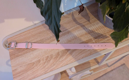 Collier Biothane Rose Poudré 25mm - vue complète