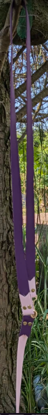 Laisse chien — Biothane ou Héxa | 20 mm ou 25 mm